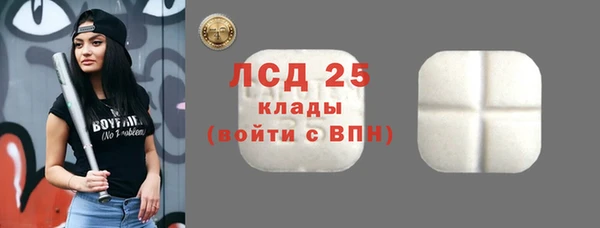 СК Абинск