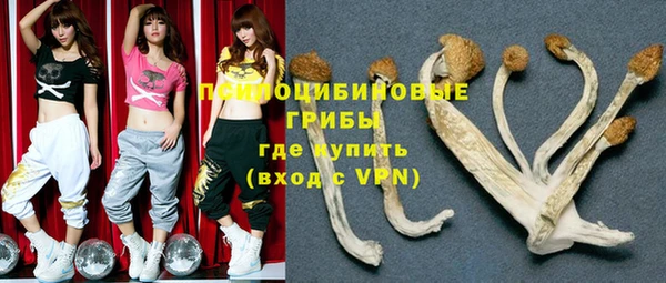 СК Абинск