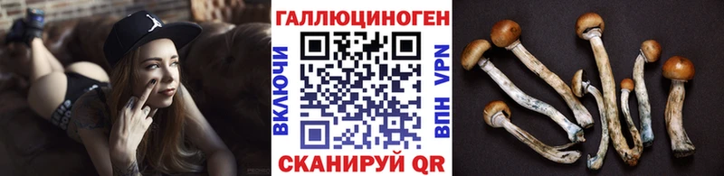 Галлюциногенные грибы GOLDEN TEACHER  Александров 